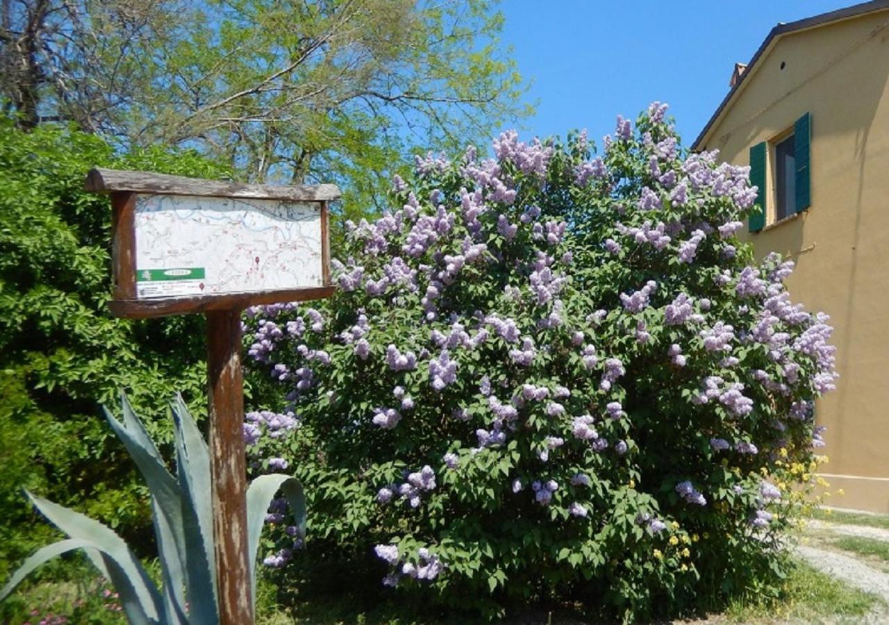 Casa Delle Ginestre Leilighet Cesena Eksteriør bilde